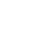 scooter genesis